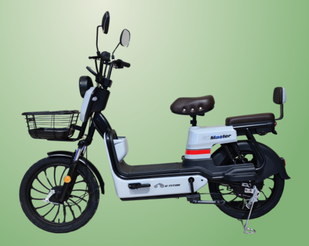 Электроскутер E-Titan Master 20" 60V 20AH 1000W 78y0 фото