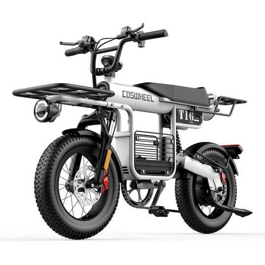Купити Електроскутер COSWHEEL T16 EBIKE 750 Вт 48 В 20 Ач 45443 в