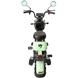 Електроскутер   SPARK GLIDE 14" 60V/500W/20Ah Зелений 6645-69 фото 2