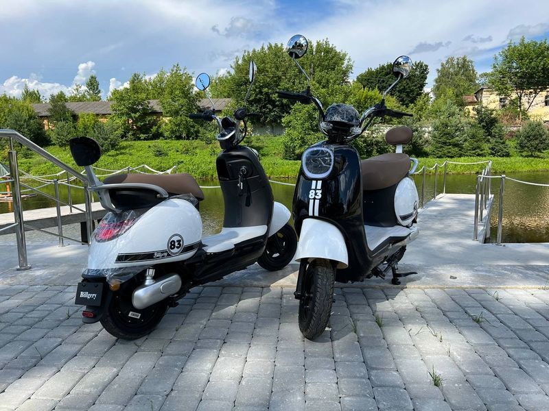 Электрический велосипед Billgery BL-0655 (1) двигатель 600W, аккумулятор 60V/20Ah 428965vfe фото