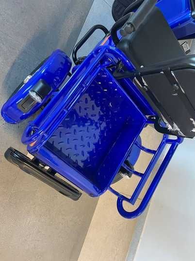 Купити Трицикл акумуляторний Forte CARGO-P650 75755-5 в інтернет