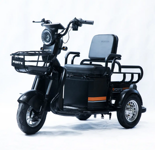 Трицикл акумуляторний Forte CARGO-P650 9777-76 фото