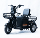 Трицикл аккумуляторный Forte CARGO-P650 9777-76 фото 1
