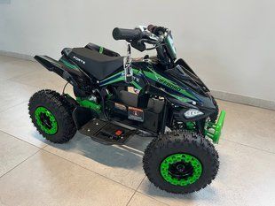 Квадроцикл акумуляторний FORTE ATV 800W 768677067-70 фото