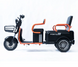 Трицикл акумуляторний Forte CARGO-P800 08899-7 фото 11
