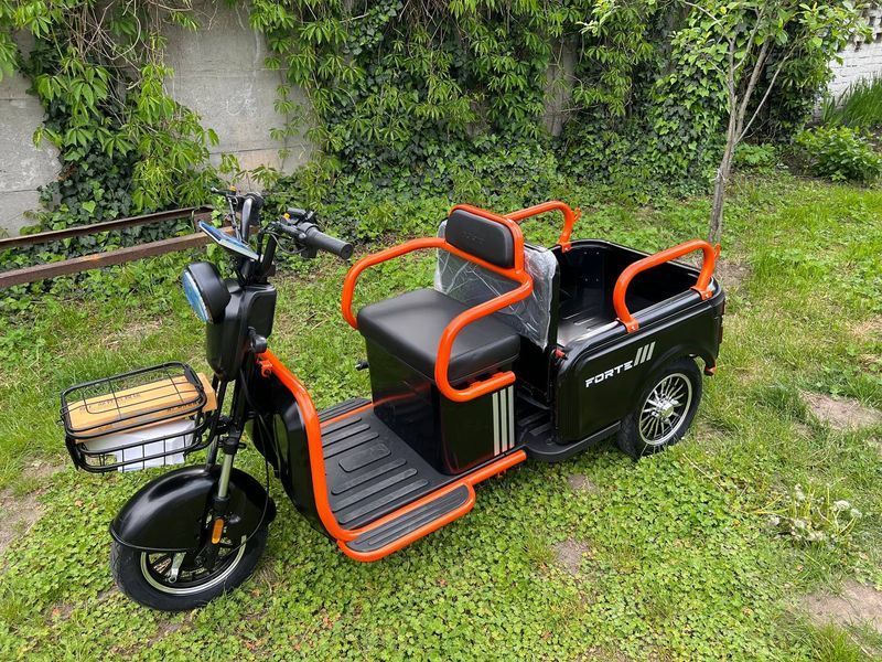 Трицикл акумуляторний Forte CARGO-P800 08899-7 фото