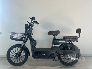 Электроскутер E-Titan Master 20" 60V 20AH 1000W 7695 фото
