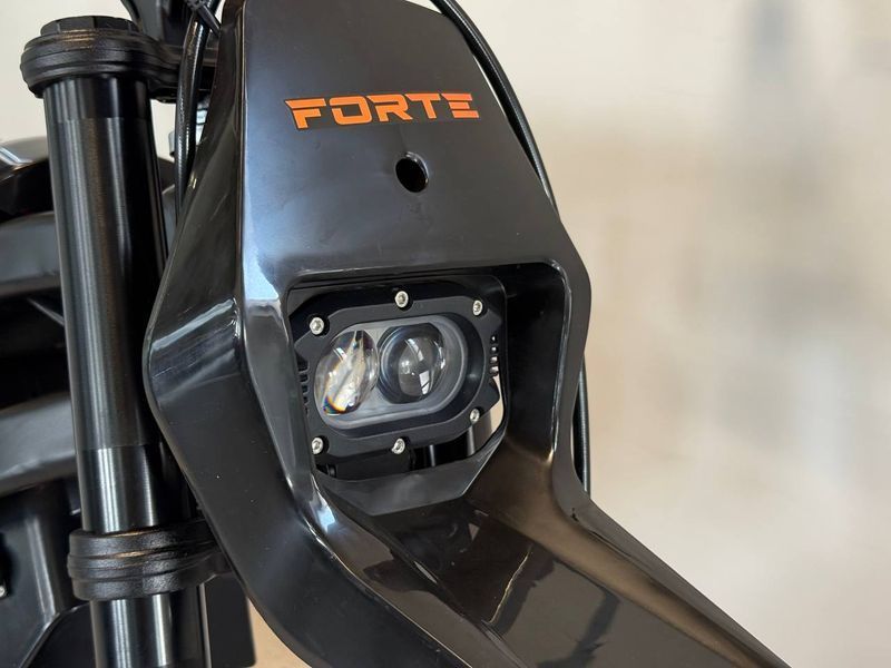 Діртбайк електро FORTE EM22-2 60V27ah 2500W 940-0248 фото